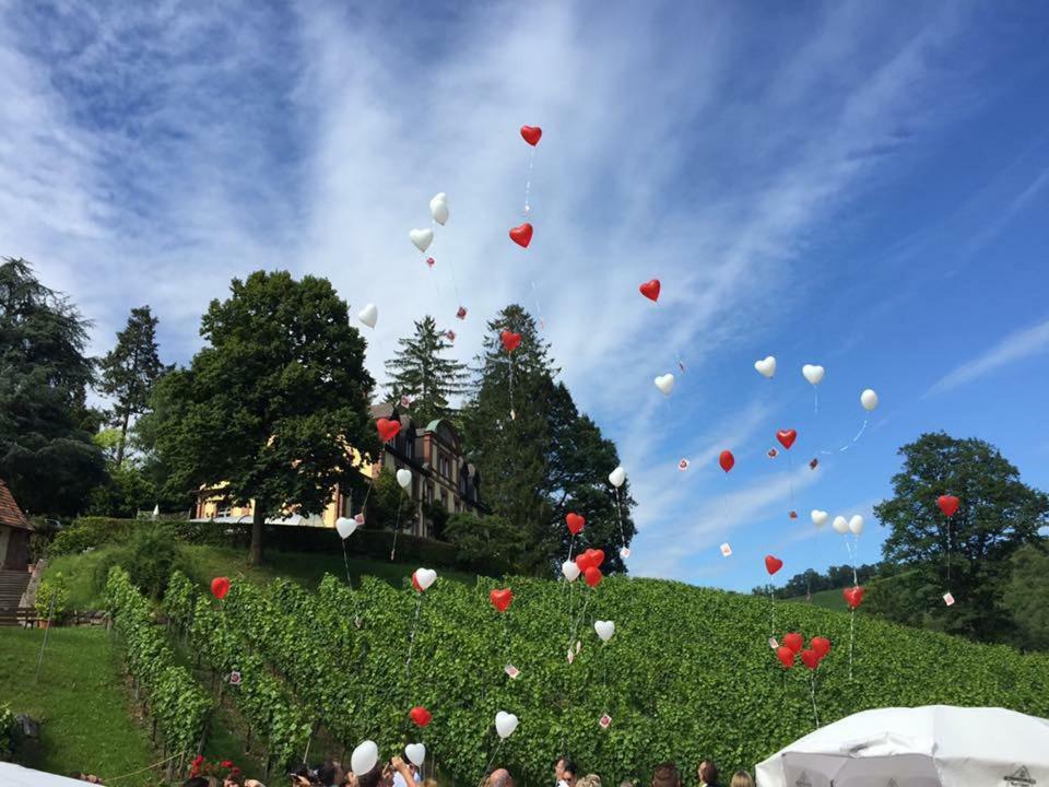 Wein Lodge Durbach - Josephsberg 2 ภายนอก รูปภาพ